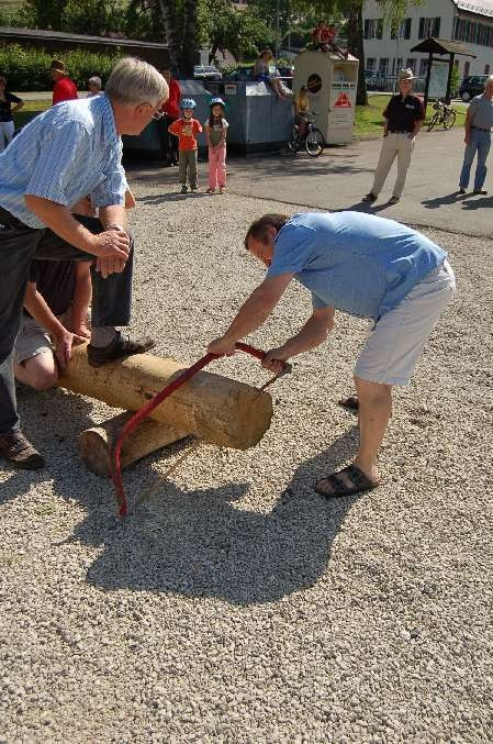 2008 juhegana 20110325