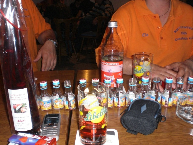 2010 generalversammlung nve 20110329