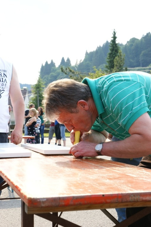 2010 juhegana 20110325