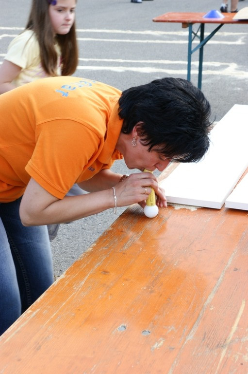 2010 juhegana 20110325