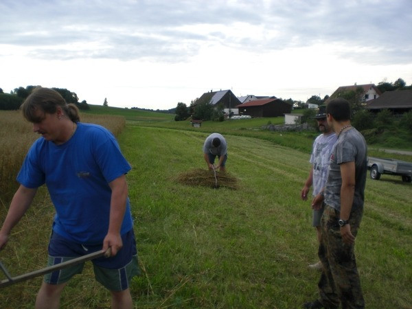 2010 strohschneiden 20110329