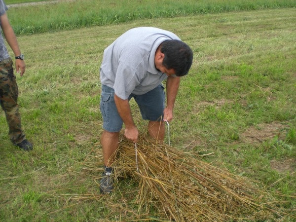 2010 strohschneiden 20110329