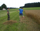 2010 strohschneiden 20110329