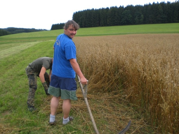 2010 strohschneiden 20110329