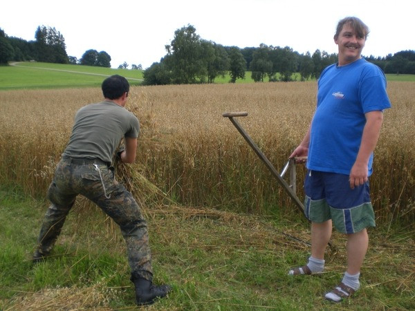 2010 strohschneiden 20110329