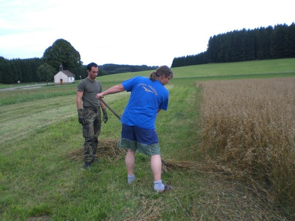 2010 strohschneiden 20110329