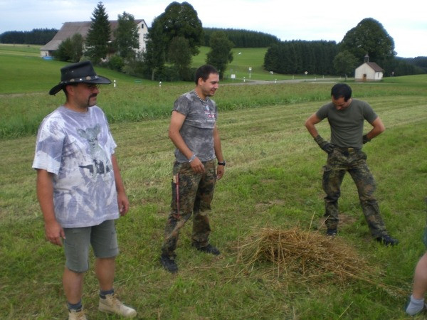 2010 strohschneiden 20110329