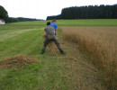 2010 strohschneiden 20110329