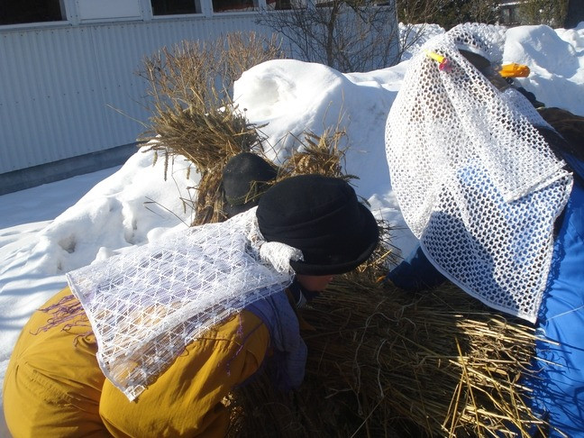 2010 weiberhexen egesheim 20110325