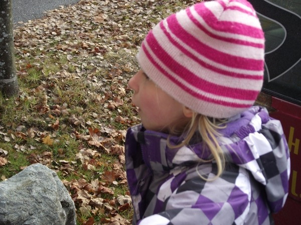 wurstwagen vorweihnachtstour 20111128