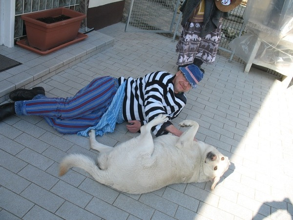 2011 schmotziger egesheim 20110325