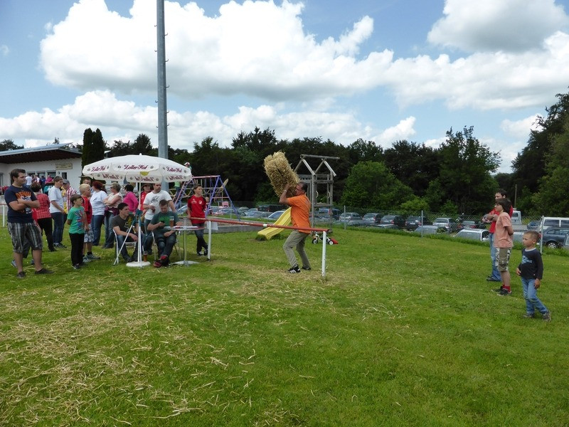 2013 hans werner hafen gedaechtnisturnier 20130701