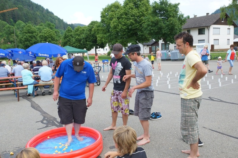 2013 juhegana 20130708