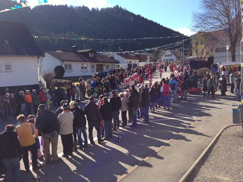 2014 festumzug vom sprecherwagen aus 20140304