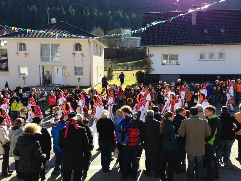 2014 festumzug vom sprecherwagen aus 20140304