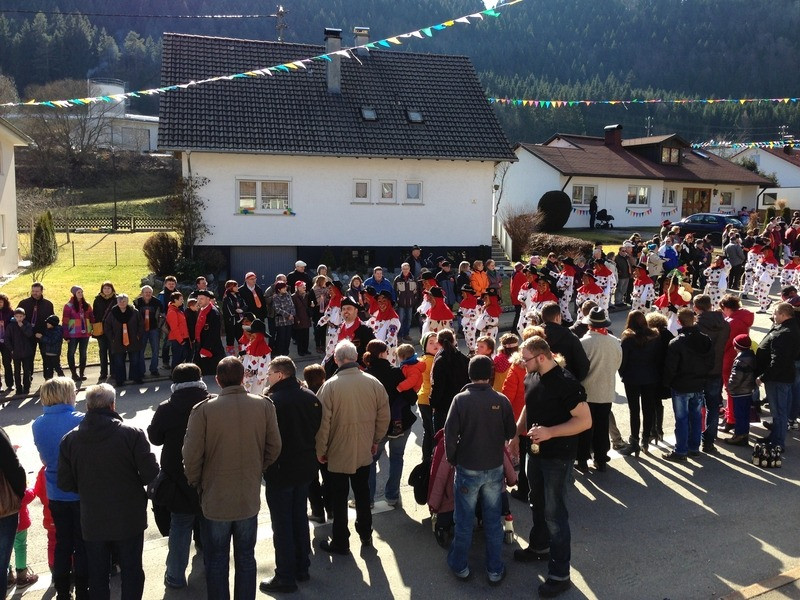 2014 festumzug vom sprecherwagen aus 20140304