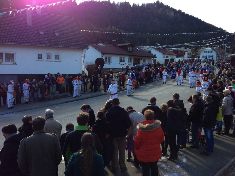 2014 festumzug vom sprecherwagen aus 20140304