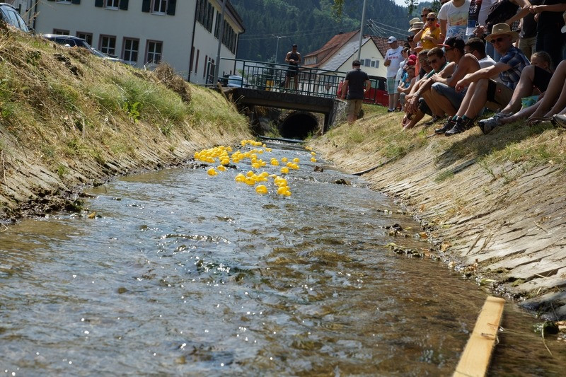 2015 hans werner hafen gedaechtnisturnier 20150707