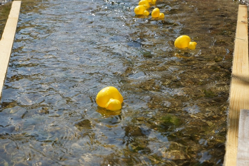 2015 hans werner hafen gedaechtnisturnier 20150707