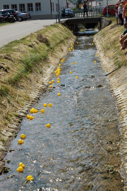 2015 hans werner hafen gedaechtnisturnier 20150707