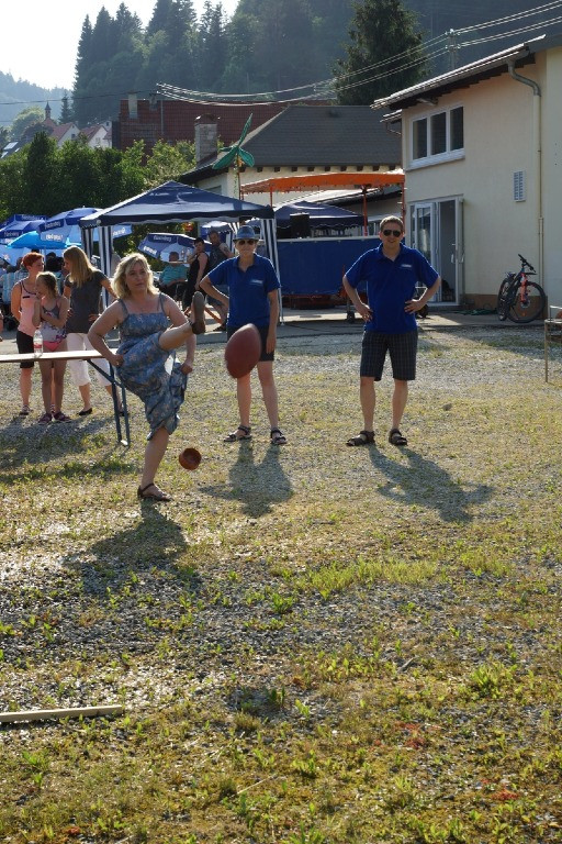 2015 juhegana 20150707