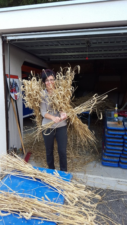 2015 strohbaer spezial 20151019