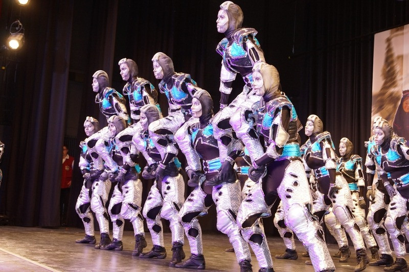 2017 gardewettbewerb frittlingen 195 20170516