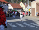 2017 rosenmontag egesheim 24 20170516