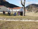 2020 schmotziger egesheim 2 20200326