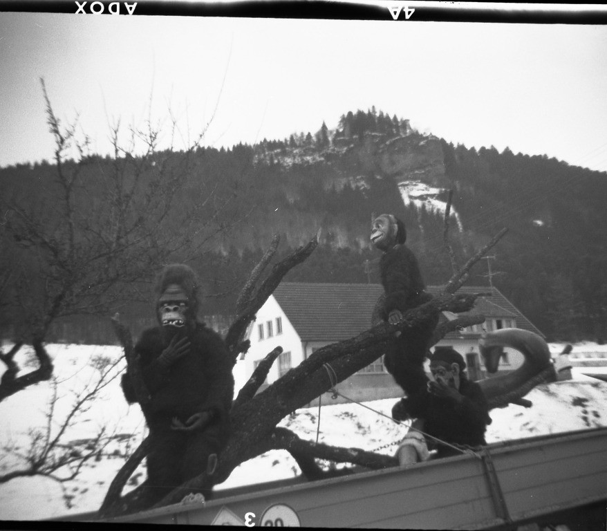 fasnet vor 1985 20120222