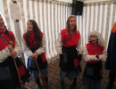 2015 hartheim umzug 20150219