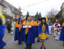 2017 umzug laiz 111 20170516