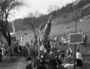 fasnet vor 1985 20120222